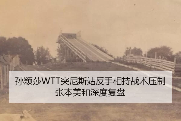 sun-ying-sha-tu-ni-si-zhan-fan-shou-xiang-chi-zhan-shu-ya-zhi-zhang-ben-mei-he-shen-du-fu-pan-3-900.jpg